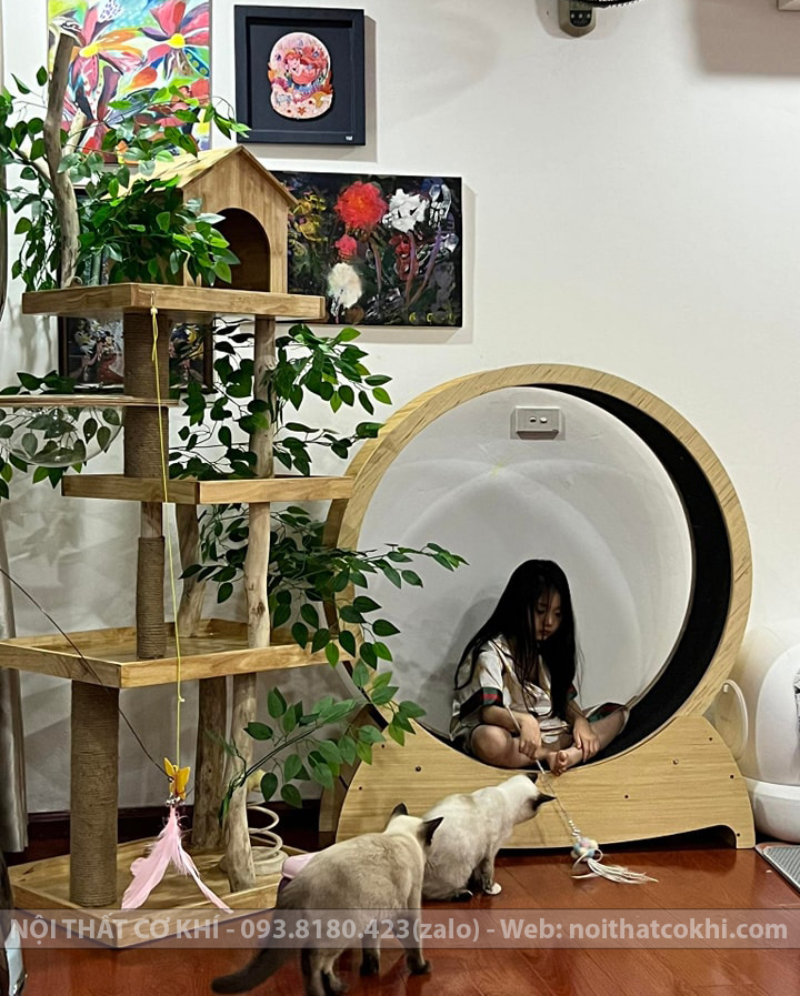 máy chạy bộ cho mèo catwhell